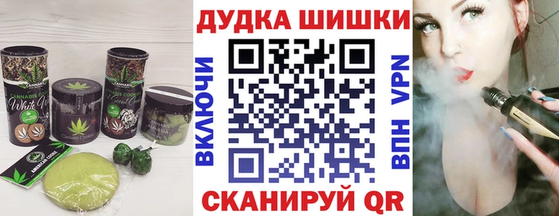 где купить   Горно-Алтайск  Canna-Cookies конопля 