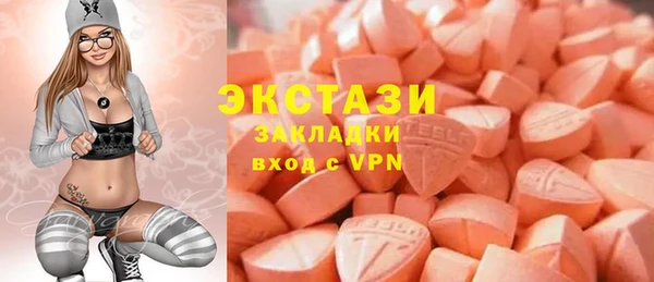 хмурый Верея