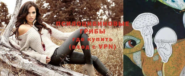 хмурый Верея