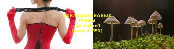 экстази Горняк