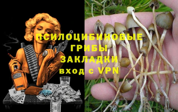 каннабис Инта