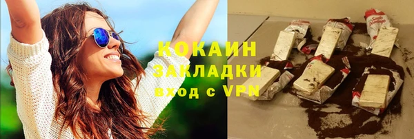 хмурый Верея