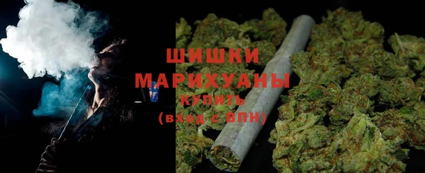 хмурый Верея