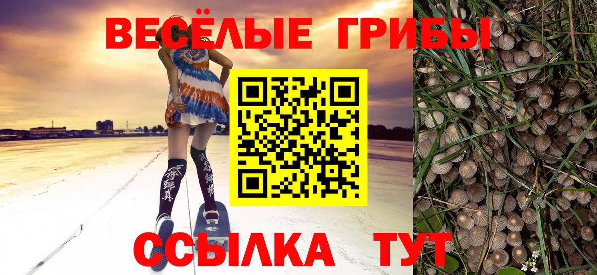 КОКАИН  МДМА  ЭКСТАЗИ  Гашиш  Бошки Шишки  Горно-Алтайск  Меф кристаллы  АМФ  