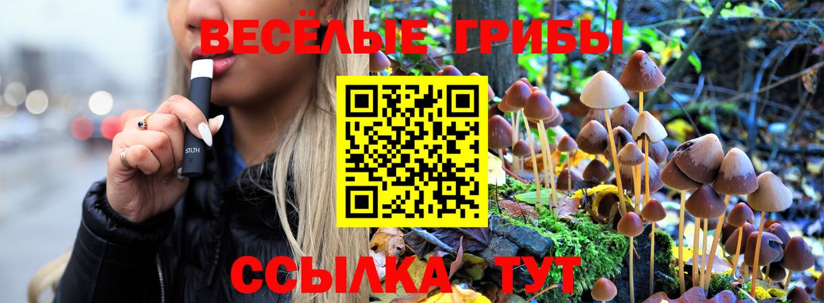 Галлюциногенные грибы прущие грибы  Вход с VPN  цены   Галлюциногенные грибы мухоморы  Горно-Алтайск 