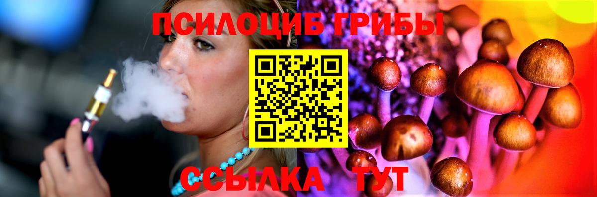 Галлюциногенные грибы мухоморы Горно-Алтайск