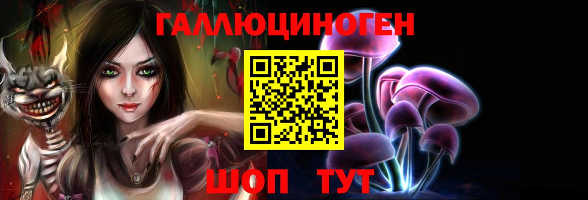 Галлюциногенные грибы Cubensis Горно-Алтайск